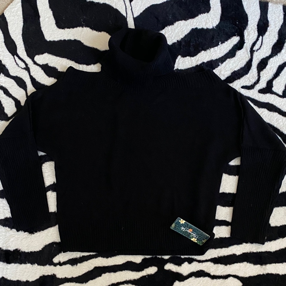Blooming Jelly Black Ribbed Turtleneck Sweater XS